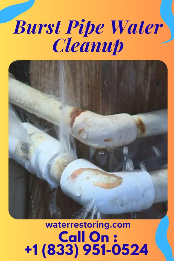 Burst Pipe Water Cleanup in Lexa, AR