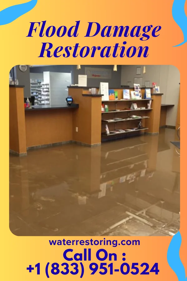 Flood Damage Restoration in Lexa, AR