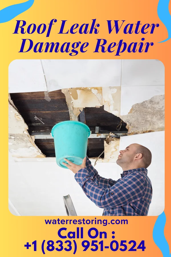 Roof Leak Water Damage Repair in Lexa, AR