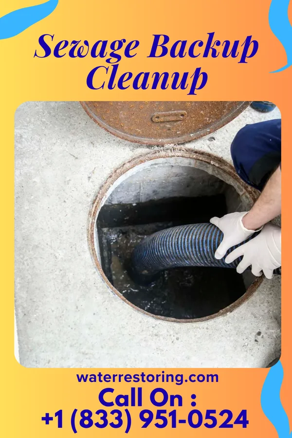 Sewage Backup Cleanup in Lexa, AR